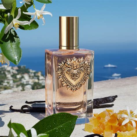 dolce gabbana devotion notino|dolce gabbana devotion reviews.